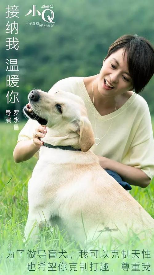 Universit?t Bayreuth会计文凭证书